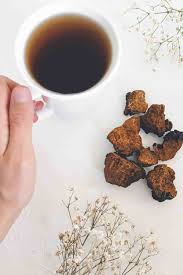1 or 2 cinnamin sticks. Chaga Tea Why Chaga Is The King Of Medicinal Mushrooms