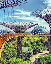 Pin By Marika Perrotta On Singapore Visit Singapore Travel Photography Green City