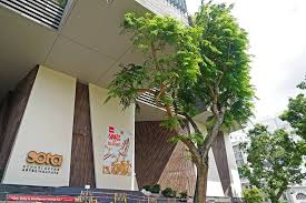 Sota began in early 1996. Affectionately Known To Some In The Sota School Of The Arts Singapore Facebook