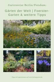 Gartenwochenende Berlin Potsdam Pflanzen Enthusiasten Auf Reisen Botanischer Garten Berlin Garten Botanischer Garten