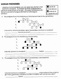 Genetics Problems Worksheet Answer Key Awesome 14 Best Of Pedigree Worksheet With Answer K Genetics Practice Problems Word Problem Worksheets Genetics Practice