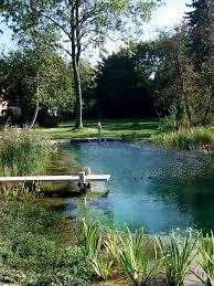 Natural Swimming Pool Landscape Design Swimming Pool With Dock Aquatic Plants Swimming Natural Swimming Ponds Backyard Water Feature Natural Swimming Pools