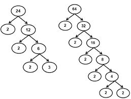 Berapakah FPB dari 24 dan 64 ?