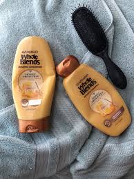 Garnier Whole Blends Honey Treasures Review Whole Blends Honey Shampoo Whole Blends Shampoo