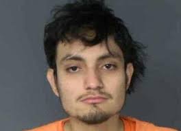 Judge denies bond reduction in Basalt death case