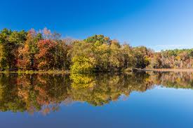 The lake has deep, clean water for boating, water skiing, and scuba diving. Best Camping Areas In Arkansas To Enjoy Nature