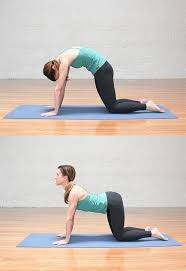 7 Beginner Yoga Poses To Get Through Your First Class Yoga Poses For Beginners Yoga Poses For Back Yoga For Beginners