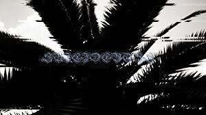 I have personally looked almost everywhere for a decent suicideboys wallpaper but cannot ever find one. Suicide Boys Wallpapers Top Free Suicide Boys Backgrounds Wallpaperaccess