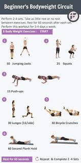 Pin On Beginners Workout No Equipment