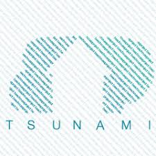 2 of 4 « previous; Tsunami Album By Beachouse Project