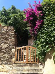 Collioure Pyrenees Orientales Ruelles Du Village Pyrenees Orientales Pyrenees Ruelle