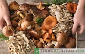 Setas fritas/porcini fritos/como freir boletus edulis/receta de boletus fritos/ porcini fritti. No Te Gustan Las Setas Simplemente No Se Como Cocinarlos Errores Al Cocinar Setas