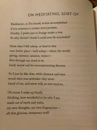 Mary Oliver On Meditating Sort Of Mary Oliver Poems Writing Words Mary Oliver Quotes