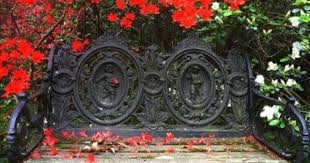 Love This Benchwith Red Flowers Shade Loving Plants Hydrangeas Such As The Blue Lace Cap Hydrangea Macrophylla A Backyard Trees Easy Backyard Garden Bench