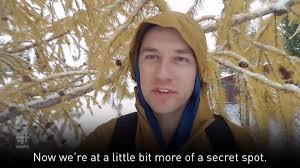 Maybe you would like to learn more about one of these? Cbc Calgary Larch Trees In Calgary Facebook