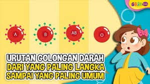 Pasalnya berbagai kombinasi tipe darah dapat menghasilkan jenis yang berbeda pula. Urutan Golongan Darah Mulai Dari Yang Langka Banget Sampai Yang Paling Umum Kamu Termasuk Yang Mana Semua Halaman Kids