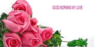 Good Morning Rose Wallpapers Free Download Rose Flower Wallpaper Pink Rose Bouquet Flower Wallpaper