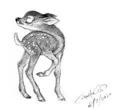 Hoechi Tam Baby Animals Pencil Sketch