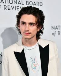 Information on this blog are copyright to their respectful owners. Timothee Chalamet Showed Up To Stan Uncut Gems Last Night