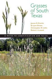 Connect with the team at king. Grasses Of South Texas A Guide To Identification And Value Grover E Murray Studies In The American Southwest Everitt James H Drawe D Lynn Little Christopher 9780896726680 Amazon Com Books