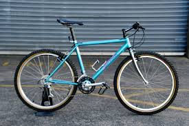 Image result for Bleu Clair 1989 ARO