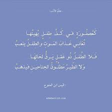 أرضى فيغضب قاتلي أبو ذؤيب الهذلي عالم الأدب cute love quotes words quotes