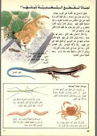 دائرة معارف القرن الحادي والعشرين للعلوم والتكنولوجيا المتطورة والطبيعية In 2020 Animals Lizard