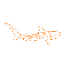 Free Free 179 Whale Shark Svg Free SVG PNG EPS DXF File