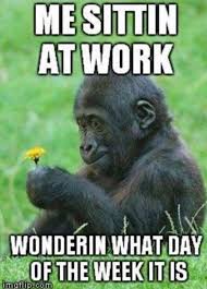 Pin By Coach Muffin On Funnies Work Humor Workplace Humor Humor