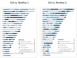 Understanding Genetics