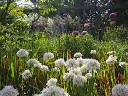 Mein Neuer Garten Petra Pelz Landschaftsarchitektur Garten Privatgarten Landschaftsarchitektur