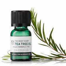 Tea Tree Oil For Skin Tags Can Get Results In 3 5 Weeks Try It Now Body Shop Tea Tree Oil Body Shop Tea Tree Home Remedies For Skin