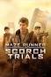 Image of Will there be a Maze Runner 2 movie?