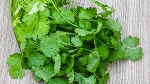 Rupanya ini karena khasiat sehat daun ketumbar, meski aromanya tajam. Mau Pakai Daun Ketumbar Untuk Kesehatan Kulit Ini Caranya