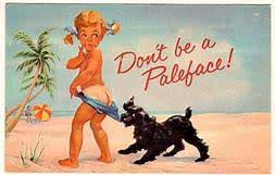 Image result for Light Coppertone 1964 Philco