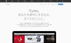 裏技 Itunesカード8000円分を無料でゲットする方法 ゲーム課金におすすめ Boooost