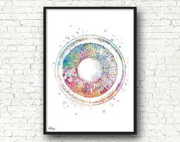 Optometry Art Optician Poster Optometrist Gift Ophotalmology Medical Art Eye Examination Watercolor Clinical Decoration 371 Optometrie Opticien Etsy