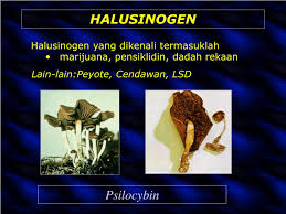 Keindahan tanaman ini justru halaman sebuah rumah yang kosong sangat cocok jika di tanami jenis palem ini karena perawatan palem ini sangat mudah dah juga tahan terhadap. Ppt Jenis Dadah Dan Kesannya Ke Atas Manusia Powerpoint Presentation Id 491545