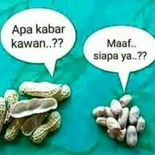 Sedih rasanya jika ada kacang lupa kulitnya. Punya Teman Seperti Kacang Lupa Kulit Buang Ke Laut Saja Banjir Embun
