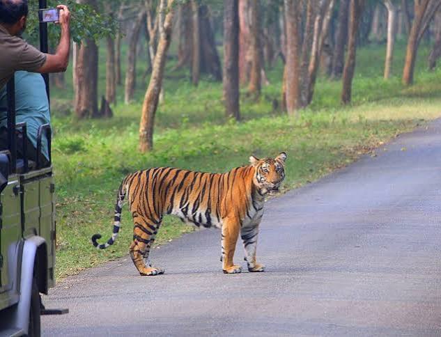 Nagarahole Forest Tourism