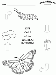 Butterfly color is some of the most striking in nature. Color The Life Cycle Butterfly Worksheets 99worksheets