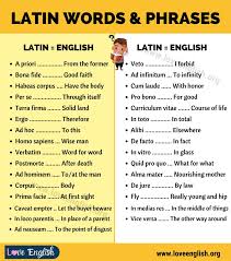 Check spelling or type a new query. Latin Words 50 Cool Latin Words And Phrases You Should Know Love English