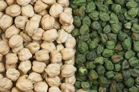 Chickpeas, aka garbanzo beans, cicer arietinum days to maturity: Chickpea Wikipedia