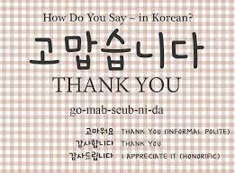 Italki 5 Must Know Phrases In Korean For Absolute Beginners Korean Language Thank You In Korean Learn Korean