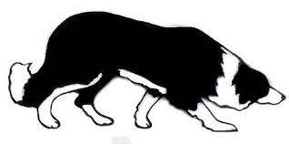 Border Collie Outline Google Search Border Collie Art Dog Silhouette Sheep Silhouette