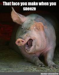 Meme That Face You Make When You Sneeze All Templates Meme Arsenal Com
