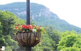 Check spelling or type a new query. Lake Lure S Flowering Bridge Carolina Epicurean
