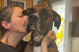 Fundraiser by Veronica Lorenz : Surgery Recovery