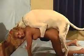 Girl And Dog Sex Gif | Sex Pictures Pass