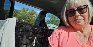 MAD Bags at OneWorld Canine Obstacle Run in May